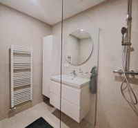 A bathroom in a 2-room apartment with a wooden decor floor, a shower corner, and a round mirror.