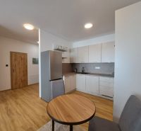 A kitchen in a 2-room apartment with a wooden decor floor and stylish cabinets.