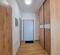 A spacious hallway with a wooden decor floor and a built-in wardrobe in a 2-room apartment.