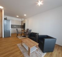 Living room in a two-room apartment with an open kitchen and a floor with a wood decor.
