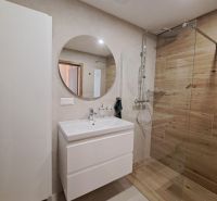 Bathroom in a 2-room apartment with a sink, shower corner, and floor with wood decor.