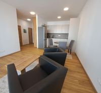 Living room in a two-room apartment with a wooden decor floor and stylish furniture.