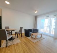 Bright living room with wood-patterned flooring in a two-room apartment.