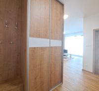 Interior with wood-patterned flooring and built-in wardrobe in a 2-room apartment.