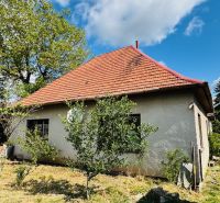 A family house in Pažiť with a red roof, surrounding greenery, and trees.