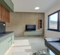 Living room in a 2-room apartment with a sofa, kitchen unit, and TV on the wall.