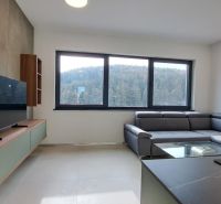 Living room in a 2-room apartment with a sofa, television, and a view of the forest.