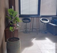 Bright room in a 2-room apartment with a table, chairs, and a plant.