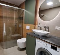Bathroom of a 2-room apartment with a shower, washing machine, mirror, and cabinets in a neutral color.
