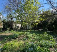 Garden at a family house on Na riviére Street in Bratislava - Karlova Ves.