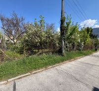 Garden at the family house on Na riviére Street in Bratislava - Karlova Ves.