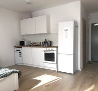 Kitchen area in a studio apartment with wood-patterned flooring and white furniture.