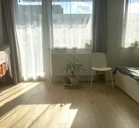A bright room in a one-bedroom apartment with a wood-patterned floor and a plant.