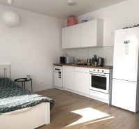 Compact kitchen with built-in appliances and a wooden decor floor in a studio apartment.