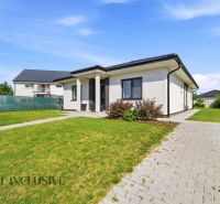 A family house in Veľké Blahovo in Dunajská Streda with a grassy plot and a paved walkway.