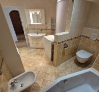 Bathroom with a shower, bidet, and sink in a 4-room apartment.
