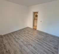A room with light walls and a floor with a wood decor in a 4-room apartment.