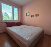 A bedroom in a 4-room apartment with a wooden decor floor and pink walls.