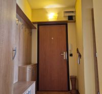 Entrance hallway with a wardrobe and a wooden decor floor in a 4-room apartment.