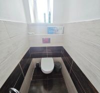 Bathroom with toilet in a 2-room apartment, tiles with wood decor on the walls.