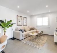 Living room in a 2-room apartment with a sofa, carpet, and houseplant.