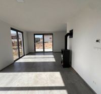 Living space in a family house with large windows and a fireplace stove.