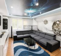 Living room in a studio apartment with a comfortable sofa, decorative ceiling, and floor with a wooden decor.