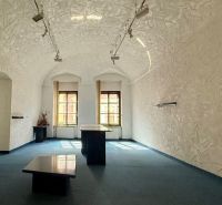 The interior features unique properties with textured walls, a vaulted ceiling, and blue carpeting.