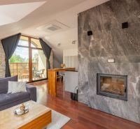 Living room of a 3-room apartment with a sloped ceiling, fireplace, and wood-patterned flooring.