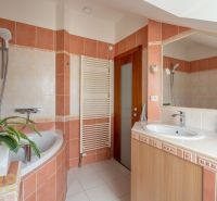 Bathroom in a 3-room apartment with a shower, bathtub, sink, and a plant on the tiles.