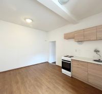 A kitchen in a family house with a simple kitchen unit and a wooden decor floor.
