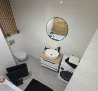 Bathroom in a 2-room apartment with a mirror, washing machine, and sink on a wooden counter.