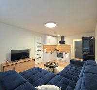 Living room with open kitchen, blue couch, and wooden decor flooring in a two-room apartment.