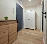 A hallway in a 2-room apartment with a wooden decor floor, a cabinet, and a wardrobe.
