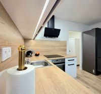 A kitchen with a wood-patterned floor, an induction cooktop, and a sleek range hood.