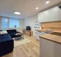 Living room in a two-room apartment with a wooden decor floor and a kitchen.