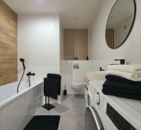 Bathroom in a 2-room apartment with a bathtub, washing machine, mirror, and decorative elements.