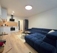 Living room with a blue sofa and a kitchen in a two-room apartment, floor with wooden decor.