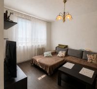 Living room in a 3-room apartment with a sofa, table, and wooden decor flooring.