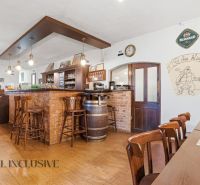 Interior of gastro spaces with a brick bar and flooring with a wood decor.