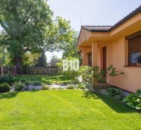A family house in Bíkovy Humence with a lawn and trees in a well-maintained garden.