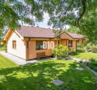 A family house in Bíľkovy Humence surrounded by a well-maintained garden and green lawn.