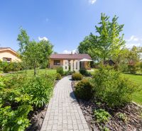 The garden of a family house in Bílkove Humence with trees, shrubs, and a paved walkway.
