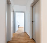 A hallway with multiple doors and a wooden decor floor in a 3-room apartment.