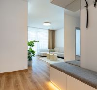 Interior of a 3-room apartment with a wooden decor floor, a comfortable sofa, and a plant.