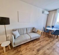 Living room with a sofa, dining table, and wood-patterned flooring in a two-room apartment.