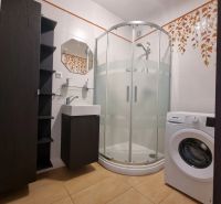 Bathroom in a 2-room apartment with a washing machine, shower corner, and tiled floor.
