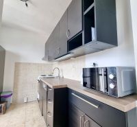 A kitchen in a 2-room apartment with dark cabinets and a microwave, floor with wood decor.