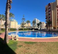 A pool surrounded by greenery and palm trees in La Manga del Mar Menor represents a recreational apartment.