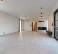 A living room in a family house with a light floor and a fireplace.